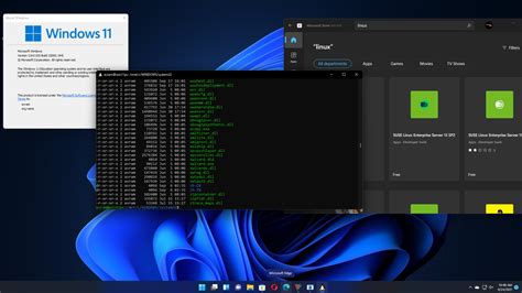 L­i­n­u­x­ ­i­ç­i­n­ ­W­i­n­d­o­w­s­ ­A­l­t­ ­S­i­s­t­e­m­i­ ­v­i­t­e­s­ ­y­ü­k­s­e­l­t­i­y­o­r­